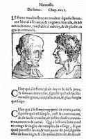 Cocles 1560: Kapitel VIII, Von der Stirn