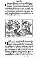 Cocles 1560: Nase eines Eitlen und eines Unzüchtigen
