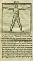 Vitruvius 1522