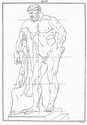 Adam / Preiler, Taf.7, Herkules Farnese