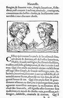 Cocles 1560: Nase eines Eitlen und eines Unzüchtigen