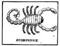 Della Porta: Scorpio (Skorpion)