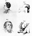 Gall 1810, Pl. LXI: Charles XII, Mirabeau, mimique de l'amour physique