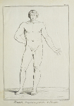 Anonym 1805, Pl. 14